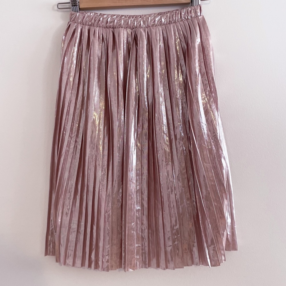 Zara Pink Pleated Skirt NWT